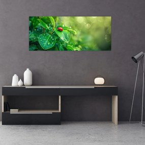 Tablou - Buburuza (120x50 cm)