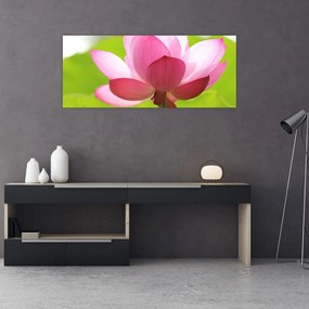 Tablou cu flori de lotus (120x50 cm), în 40 de alte dimensiuni noi