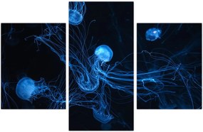 Tablou - Meduză (90x60 cm)