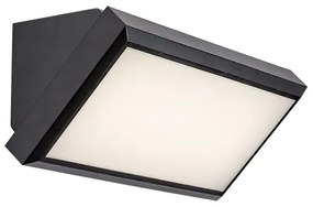 Aplică LED de exterior RAPLA LED/12W/230V IP54 Rabalux 7282