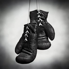 Fotografie Laced boxing gloves, SEAN GLADWELL