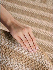 Covor pentru exterior și interior crem/în culoare naturală 160x230 cm Haringey Woodfield – Ted Baker