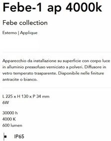 Mini Spot LED aplicat Exterior, Antracit, Protectie IP65, Febe-1 ap 4000k