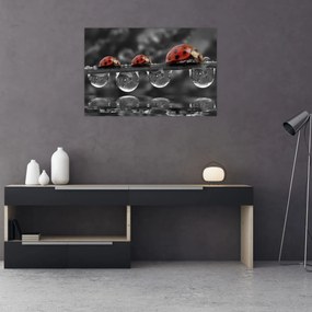 Tablou - Floarea-soarelui, alb și negru (90x60 cm)