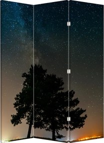 Paravan - Cerul nocturn și copaci (126x170 cm)