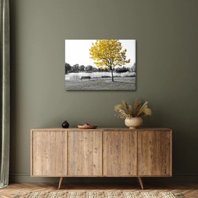 Tablou - relaxare în parc (70x50 cm)