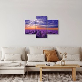 Tablou câmpului cu lavandă (90x60 cm)