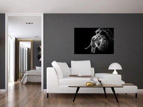 Tablou - Leu, alb și negru (90x60 cm)