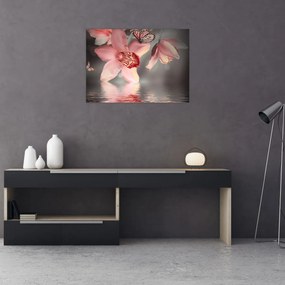 Tablou pe sticlă - Flori și fluture (70x50 cm)