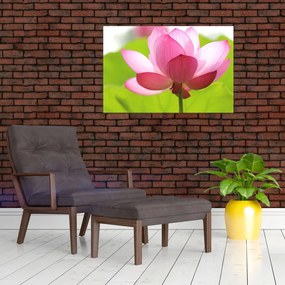 Tablou cu flori de lotus (90x60 cm)