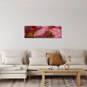 Tablou - Imagine macro a biletului (cu ceas) (90x30 cm)
