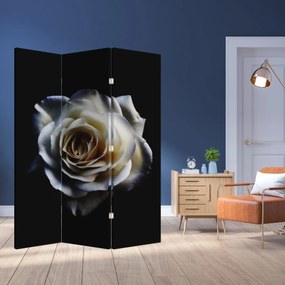 Paravan - Trandafir alb (126x170 cm)