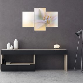 Tablou - Floare fragedă (90x60 cm)