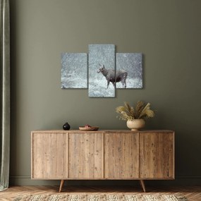 Tablou - Elan într-o pădure înzăpezită (90x60 cm)