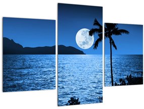 Tablou - Luna deasupra nivelului mării (90x60 cm)