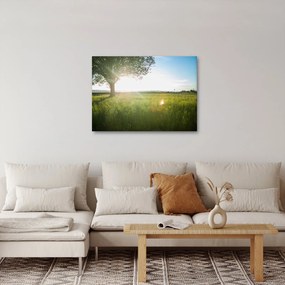 Tablou cu lunca în vară (70x50 cm)