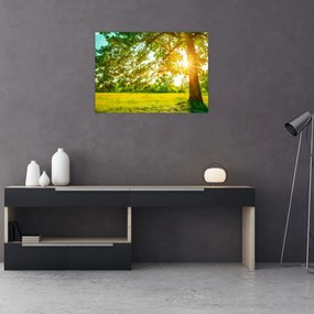Tablou pe sticlă - Pădurea însorită (70x50 cm)