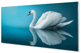 Tablouri acrilice Swan în apă