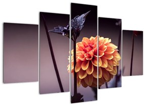Tablou - Floare (150x105 cm)