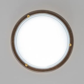 Rabalux 5427 - Plafoniera UFO 2xE27/60W/230V