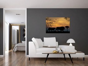 Tablou cu Safari (90x60 cm)