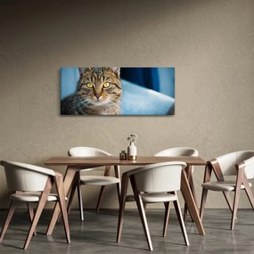 Tablou - Pisica domestică (120x50 cm)