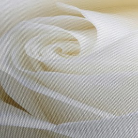 Tablou cu tandafir alb (cu ceas) (90x30 cm)