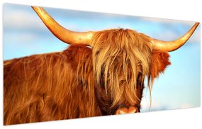 Tablou - Vacă scoțiană (120x50 cm)