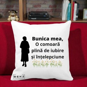 Cadou pentru Bunica - Perna Personalizata Bunica Mea Comoara Iubire Intelepciune Silueta cu Nepoata, 40x40 cm, Alba Mata, Husa Detasabila, Perna Inclusa, BEKZ®