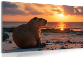 Tablou capybara la apus