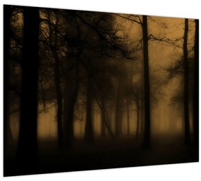 Tablou pe sticlă - Pădurea întunecată (70x50 cm)
