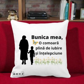 Cadou pentru Bunica - Perna Personalizata Bunica Mea Comoara cu Fluture si Baietel, 40x40 cm, Alba Mata, Husa Detasabila, Perna Inclusa, BEKZ®