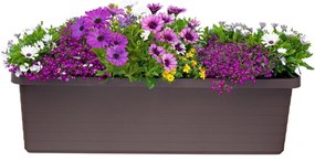 Jardinieră cu auto-irigare Plastia Berberis TRIO,ciocolată