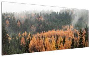 Tablou - Pădure toamna (120x50 cm)
