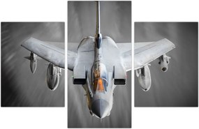 Tablou - Avion de vânătoare (90x60 cm)