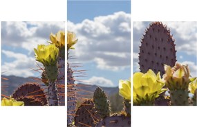 Tablou cu floarea de cactus Opunție (90x60 cm)