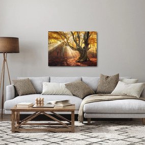 Tablou - Lumina de toamnă (70x50 cm)