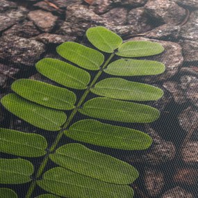 Tablou cu planta verde (cu ceas) (90x30 cm)