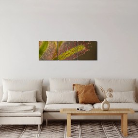 Tablou cu plantă (cu ceas) (90x30 cm)