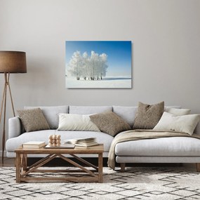Tablou pe sticlă - Peisaj înzăpezit (70x50 cm)