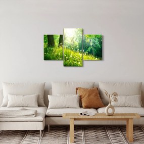 Tablou - Pajiște magică plină de păpădii (90x60 cm)