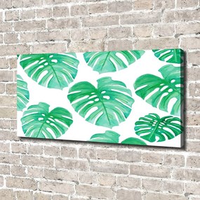 Tablouri tipărite pe pânză Monstera