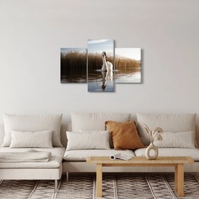Tablou cu lebăda (90x60 cm)