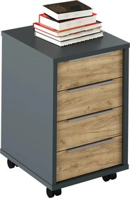 Comoda birou RIOMA NEW TYP 14, gri grafit/stejar artisan, DTD laminat/