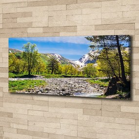Pictură pe pânză River în munți