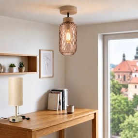 BRILAGI - LED Lustră aplicată R GLASS 1xE27/60W/230V Ø 14 cm stejar/maro fumuriu