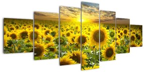 Tablouri - floarea-soarelui (210x100cm)