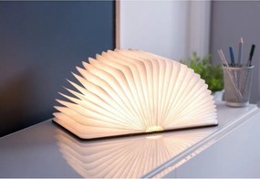 Decorațiune luminoasă maro cu USB Booklight – Gingko