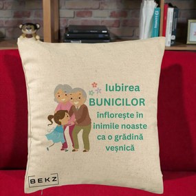 Cadou pentru Bunici - Perna Personalizata Bunicii Iubirea Infloreste cu Nepoata Teal, 40x40 cm, Bej, Husa Detasabila, Perna Inclusa, BEKZ®