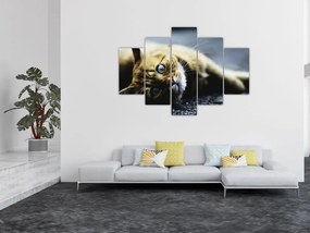 Tablou cu pisica (150x105 cm)